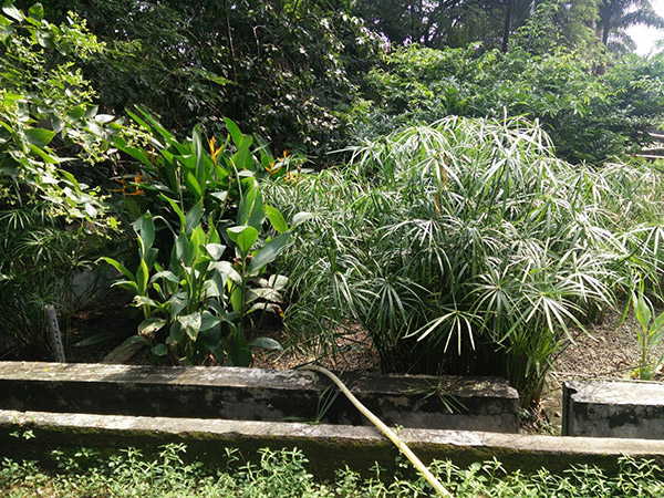 water recycling